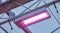 Luces LED de crecimiento GreenPower.