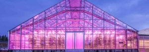 Iluminación LED para invernaderos
