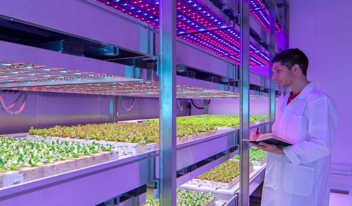 Philips GrowWise Center