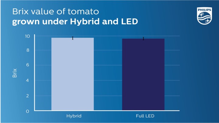 Resultados de cultivar tomates con iluminación LED híbrida y completa.