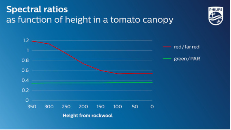 Ratios del espectro para saber si la luz para cultivo indoor verde penetra a mayor profundidad en la planta del tomate