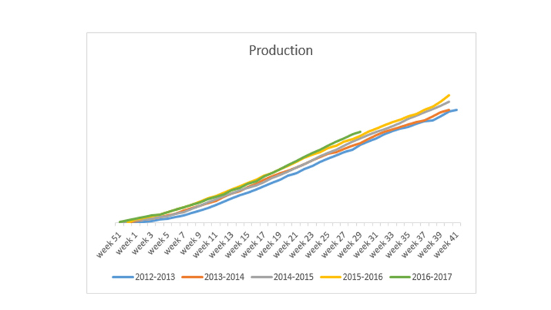 Gráfico que representa la producción por año y el crecimiento representado gracias a la iluminación mediante LEDs de cultivo