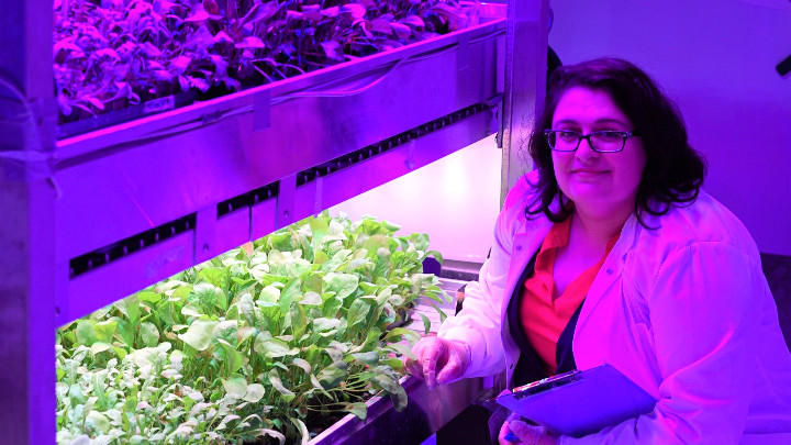 Mujer estudiando la influencia de la luz led de cultivo en los niveles de nitarto en las verduras de hoja
