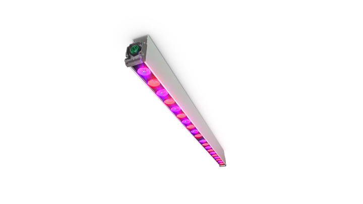 Iluminación LED superior Philips GreenPower, la iluminación LED para rosas perfecta