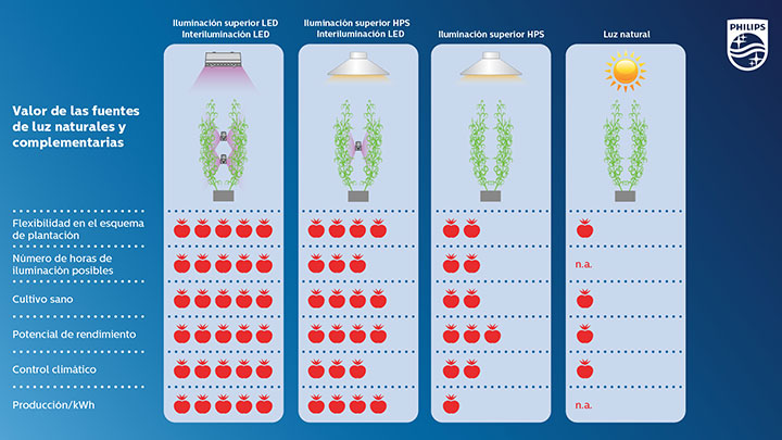 Beneficios de las luces LED para el cultivo de tomates o pepinos