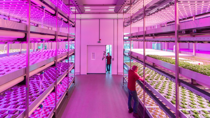 Cámara climatizada con iluminación para cultivos verticales a pequeña escala