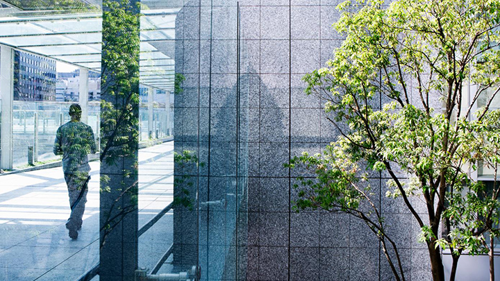 Un árbol al lado de un edificio de cristal