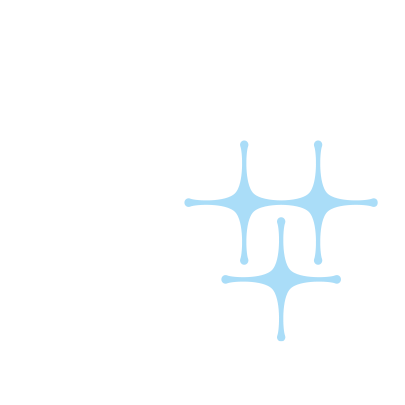 Icono de un escudo brillante