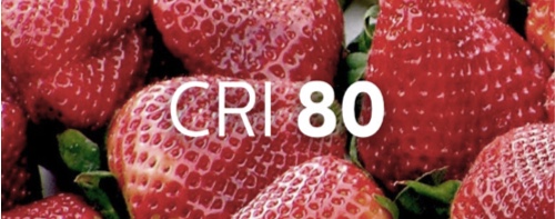 Cuenco de fresas que ilustra la intensidad del color al iluminarlo con un IRC de 80