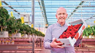 Director de Brookberries, Marcel Dings