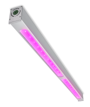 Iluminación LED superior Philips GreenPower
